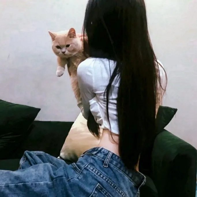 美艳亲王